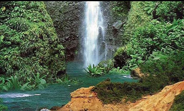 Dominica waterfall
